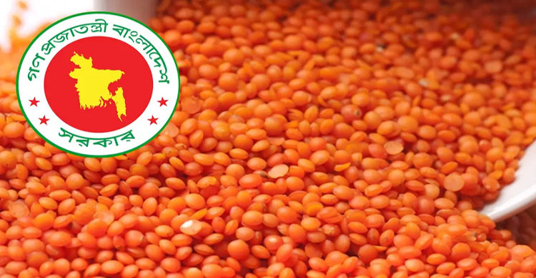  বাজারদর নিয়ন্ত্রণে ১০ হাজার টন মসুর ডাল কিনবে সরকার