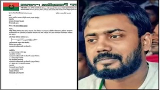 উপ-নির্বাচনে অংশ নেওয়ায় বিএনপি নেতা বহিষ্কার