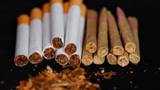 বেশি ক্ষতি কিসে? সিগারেট না বিড়ি
