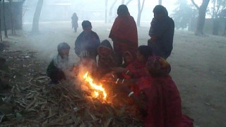 কনকনে ঠান্ডা লালমনিরহাটে
