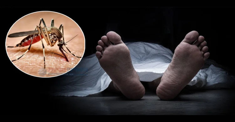  ডেঙ্গুর প্রকোপে এক দিনে আরও ৬ জনের প্রাণহানি